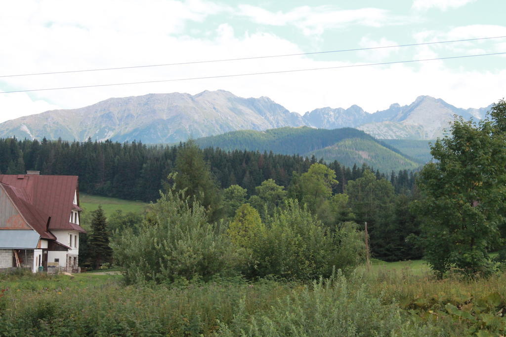 Willa Siklawa Zakopane Chambre photo